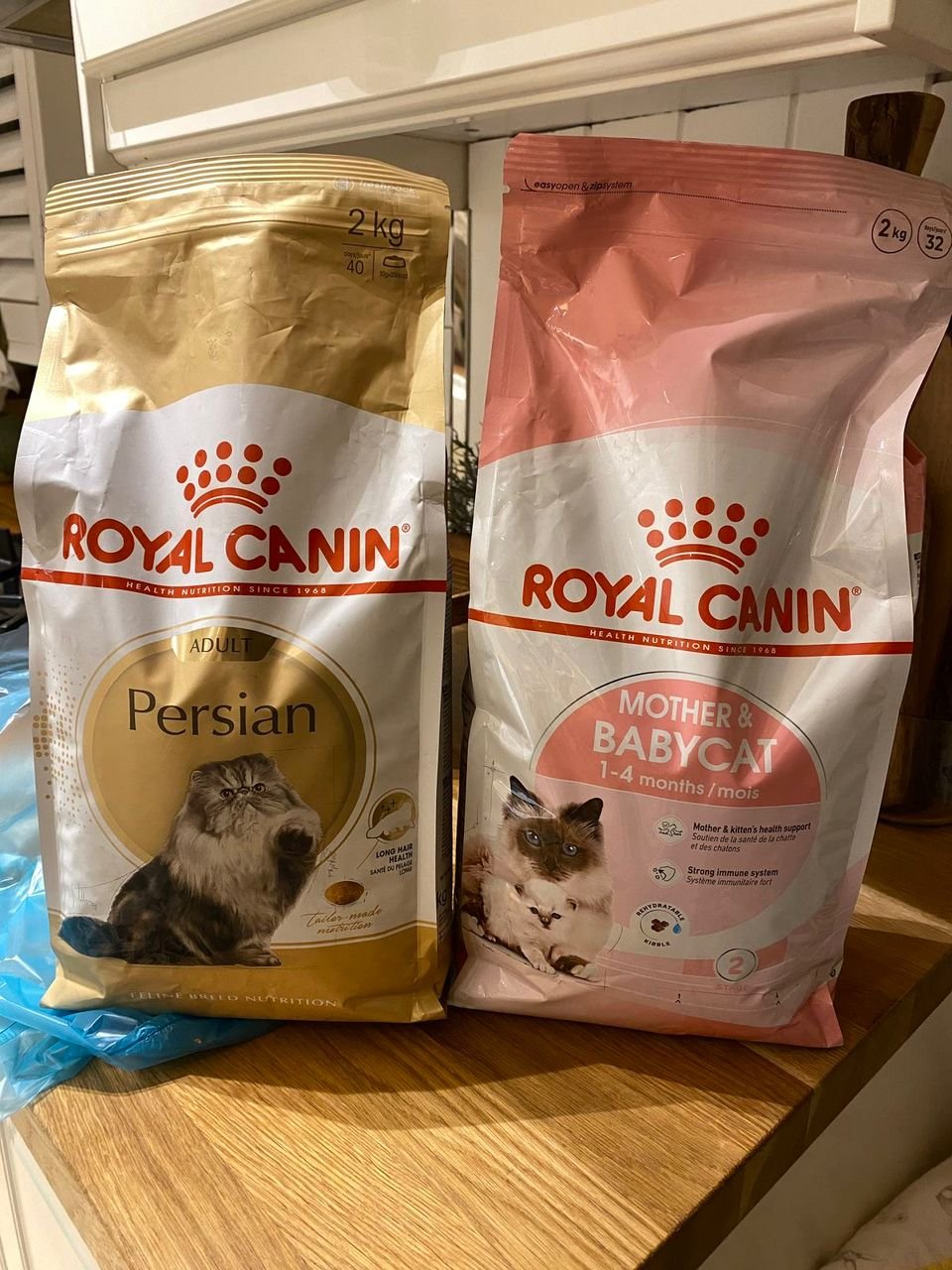 Premium food we feed our Persian kittens